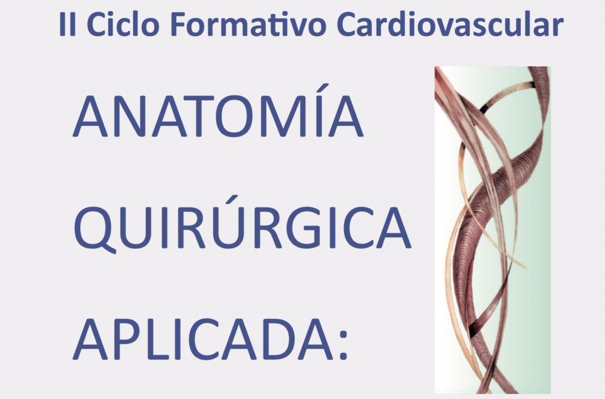 II Curso de Anatomía Quirúrgica Aplicada: Accesos vasculares periféricos